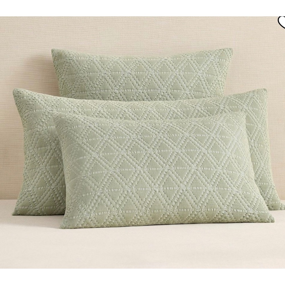 Pottery Barn Diamond Matelasse King Sham Eucalyptus Green 6281498 Set of 2